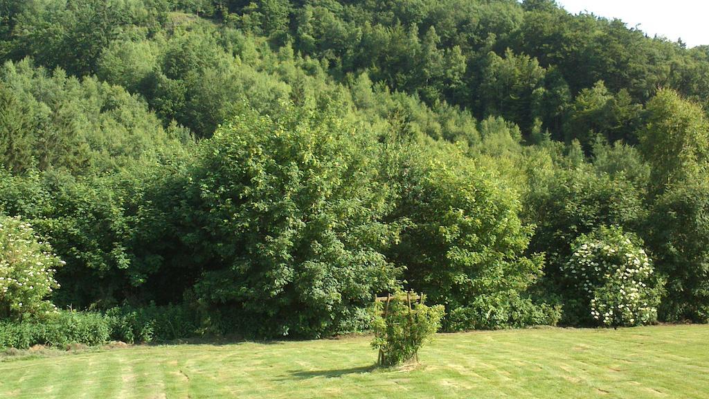 Villa La Cle Des Champs Bertogne Exterior foto