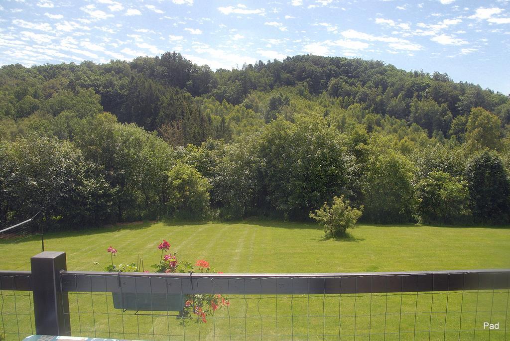 Villa La Cle Des Champs Bertogne Exterior foto